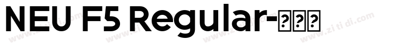 NEU F5 Regular字体转换